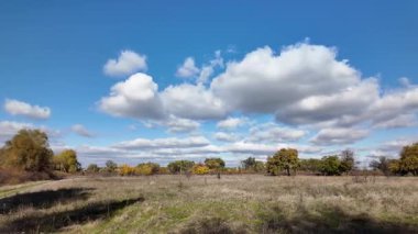 Altın ağaçlarla dolu çok güzel bir sonbahar manzarası. 4K video 60 fps. Çok güzel kırmızı ağaç taçları sonbaharda sarıya döndü. Gökyüzüne karşı doğanın güzel görüntüleri.