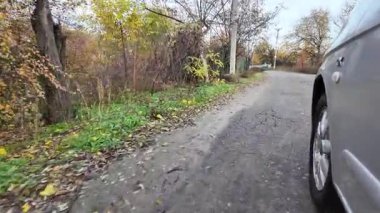 Arabanın içinden yavaş çekimde birinci şahıs videosu. Sonbahar yolu. Direksiyonda gördüm. 4K yavaş çekim arabası. Arabanın penceresinden görüntüle.