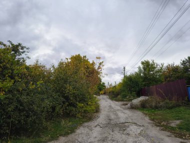 Güneşli bir günde sürücülerin bakış açısı, direksiyonda eller, ileride kırsal yol, ön camdan görünen ağaçlar ve ev. Huzurlu bir yolculuk anı, 