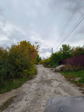 Güneşli bir günde sürücülerin bakış açısı, direksiyonda eller, ileride kırsal yol, ön camdan görünen ağaçlar ve ev. Huzurlu bir yolculuk anı, 