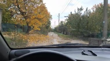Güneşli bir günde sürücülerin bakış açısı, direksiyonda eller, ileride kırsal yol, ön camdan görünen ağaçlar ve ev. Huzurlu bir yolculuk anı. dikey video