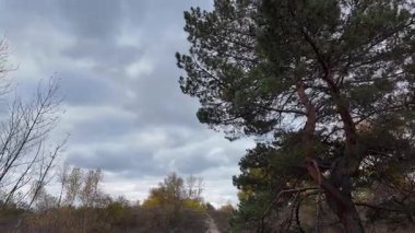 Çok bulutlu bir gökyüzü manzarası. Fırtınadan önce hava. Yağmurdan önce gökyüzü. Vistula 'da sabahın erken saatlerinde, güneşin doğuşu, çok bulutlu bir gökyüzü. Çok karanlık ve kasvetli bir gökyüzü. Yüksek çözünürlüklü görüntü, 60 kare.
