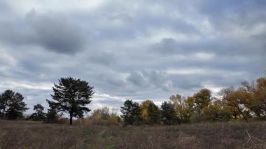 Çok bulutlu bir gökyüzü manzarası. Fırtınadan önce hava. Yağmurdan önce gökyüzü. Vistula 'da sabahın erken saatlerinde, güneşin doğuşu, çok bulutlu bir gökyüzü. Çok karanlık ve kasvetli bir gökyüzü. Yüksek çözünürlüklü görüntü, 60 kare.