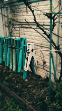 Clothespins on a clothesline. A person opens a clothespin with his fingers. Colorful clothespins hang together on an outdoor clothesline during the rain.
