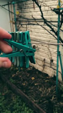 Clothespins on a clothesline. A person opens a clothespin with his fingers. Colorful clothespins hang together on an outdoor clothesline during the rain.