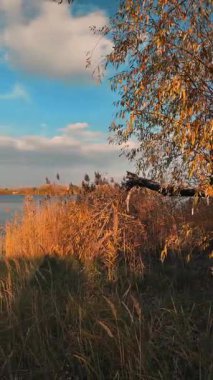 Beautiful autumn landscape with a lake and blue water. Landscape in cinematic colors. Sunset on the lake. 4K 60fps.