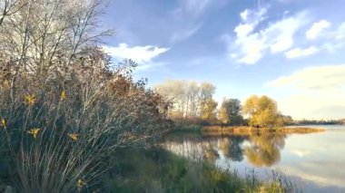 Beautiful autumn landscape with a lake and blue water. Retro-style landscape. Unusual colors. Sunset on the lake. 4K 60fps.