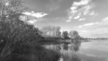 Beautiful autumn landscape with a lake and blue water. Retro-style landscape. Black and white landscape. Unusual colors. Sunset on the lake. 4K 60fps.