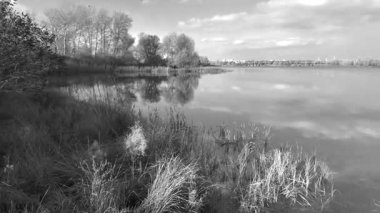 Beautiful autumn landscape with a lake and blue water. Retro-style landscape. Black and white landscape. Unusual colors. Sunset on the lake. 4K 60fps.