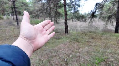 Çeşitli el hareketleriyle. Eller, sakin, açık havada, sözlü olmayan iletişimi vurgulayarak çeşitli jestler gösterir..