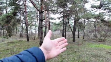 Çeşitli el hareketleriyle. Eller, sakin, açık havada, sözlü olmayan iletişimi vurgulayarak çeşitli jestler gösterir..