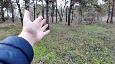 Çeşitli el hareketleriyle. Eller, sakin, açık havada, sözlü olmayan iletişimi vurgulayarak çeşitli jestler gösterir..