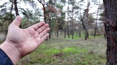 Çeşitli el hareketleriyle. Eller, sakin, açık havada, sözlü olmayan iletişimi vurgulayarak çeşitli jestler gösterir..
