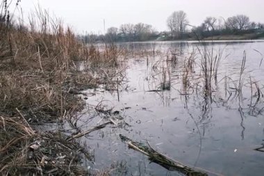 Yapraksız ağaçların ayna benzeri yansımalarıyla sakin bir göl ve sazlıklar ve uzak evlerle çevrili bulutlu gökyüzü. Doğal simetriyle huzurlu kış manzarası.