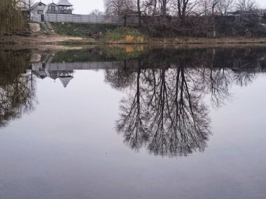 Yapraksız ağaçların ayna benzeri yansımalarıyla sakin bir göl ve sazlıklar ve uzak evlerle çevrili bulutlu gökyüzü. Doğal simetriyle huzurlu kış manzarası.