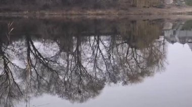 Yapraksız ağaçların ayna benzeri yansımalarıyla sakin bir göl ve sazlıklar ve uzak evlerle çevrili bulutlu gökyüzü. Doğal simetriyle huzurlu kış manzarası.