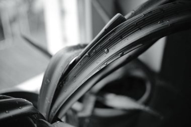 Su damlacıkları olan bir bitki yaprağının siyah-beyaz yakın çekimi. Yumuşak ışık, sığ derinlik ve doğal doku, sakin, kapalı bir botanik sahnesi yaratır..