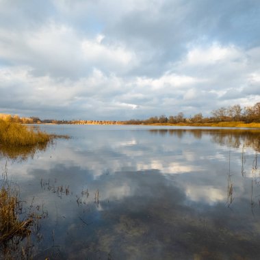 Wide panoramic view of a calm river or lake with golden reeds, dramatic cloudy sky and soft reflections on water. Peaceful autumn wetland landscape, natural light, rural scenery.
