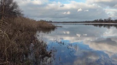 Sakin bir nehrin geniş panoramik manzarası ya da altın kamışlı bir göl dramatik bulutlu bir gökyüzü ve suya yansıyan yumuşak yansımalar. Huzurlu sonbahar sulak arazi, doğal ışık, kırsal manzara.