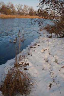 Donmuş göl manzarası, karla kaplı buzlar, sazlıklar ve mavi gökyüzü altındaki kış kıyı şeridi, sakin mevsimsel manzara soğuk havayı, durgun su kenarlarını ve kırsal kış atmosferini gösteriyor..