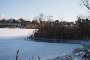 Donmuş göl manzarası, karla kaplı buzlar, sazlıklar ve mavi gökyüzü altındaki kış kıyı şeridi, sakin mevsimsel manzara soğuk havayı, durgun su kenarlarını ve kırsal kış atmosferini gösteriyor..