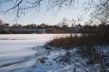 Donmuş göl manzarası, karla kaplı buzlar, sazlıklar ve mavi gökyüzü altındaki kış kıyı şeridi, sakin mevsimsel manzara soğuk havayı, durgun su kenarlarını ve kırsal kış atmosferini gösteriyor..