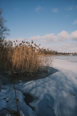 Donmuş göl manzarası, karla kaplı buzlar, sazlıklar ve mavi gökyüzü altındaki kış kıyı şeridi, sakin mevsimsel manzara soğuk havayı, durgun su kenarlarını ve kırsal kış atmosferini gösteriyor..
