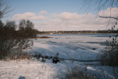 Donmuş göl manzarası, karla kaplı buzlar, sazlıklar ve mavi gökyüzü altındaki kış kıyı şeridi, sakin mevsimsel manzara soğuk havayı, durgun su kenarlarını ve kırsal kış atmosferini gösteriyor..
