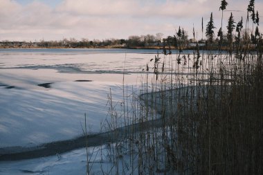 Donmuş göl manzarası, karla kaplı buzlar, sazlıklar ve mavi gökyüzü altındaki kış kıyı şeridi, sakin mevsimsel manzara soğuk havayı, durgun su kenarlarını ve kırsal kış atmosferini gösteriyor..