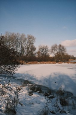 Donmuş göl manzarası, karla kaplı buzlar, sazlıklar ve mavi gökyüzü altındaki kış kıyı şeridi, sakin mevsimsel manzara soğuk havayı, durgun su kenarlarını ve kırsal kış atmosferini gösteriyor..