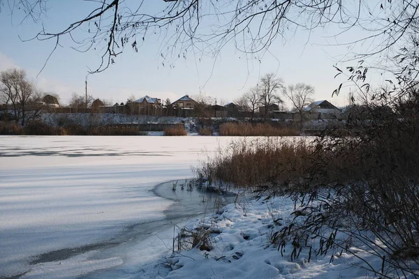 Donmuş göl manzarası, karla kaplı buzlar, sazlıklar ve mavi gökyüzü altındaki kış kıyı şeridi, sakin mevsimsel manzara soğuk havayı, durgun su kenarlarını ve kırsal kış atmosferini gösteriyor..