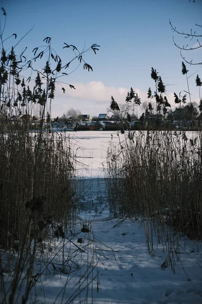 Donmuş göl manzarası, karla kaplı buzlar, sazlıklar ve mavi gökyüzü altındaki kış kıyı şeridi, sakin mevsimsel manzara soğuk havayı, durgun su kenarlarını ve kırsal kış atmosferini gösteriyor..