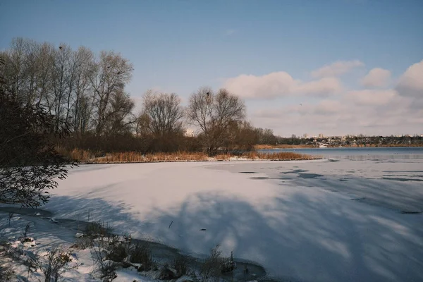 Donmuş göl manzarası, karla kaplı buzlar, sazlıklar ve mavi gökyüzü altındaki kış kıyı şeridi, sakin mevsimsel manzara soğuk havayı, durgun su kenarlarını ve kırsal kış atmosferini gösteriyor..