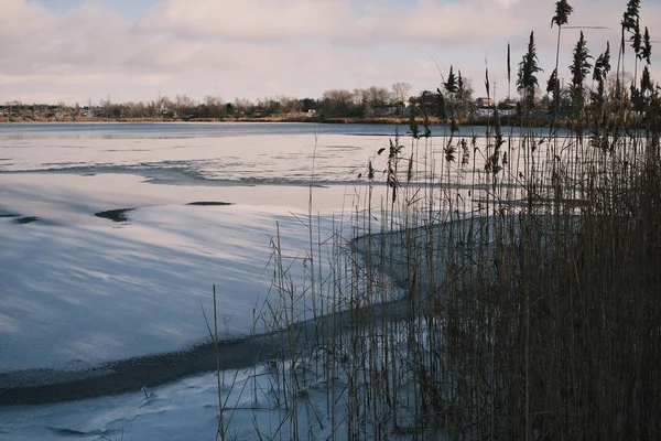 Donmuş göl manzarası, karla kaplı buzlar, sazlıklar ve mavi gökyüzü altındaki kış kıyı şeridi, sakin mevsimsel manzara soğuk havayı, durgun su kenarlarını ve kırsal kış atmosferini gösteriyor..
