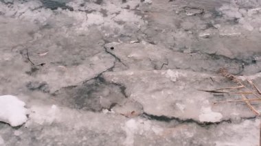 Donmuş göl manzarası, karla kaplı buzlar, sazlıklar ve mavi gökyüzü altındaki kış kıyı şeridi, sakin mevsimsel manzara soğuk havayı, durgun su kenarlarını ve kırsal kış atmosferini gösteriyor..