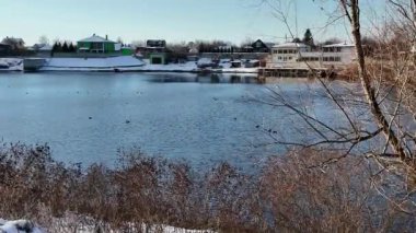 Güneşli kış çam ormanı, karla kaplı zemin ve açık mavi gökyüzünün altındaki ağaçlar, sıcak güneş ışığı ve soğuk mevsim doğasının zıtlığını gösteren huzurlu ormanlık alan manzarası..