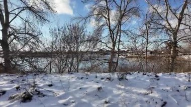 Yavaş çekim videosu. Taze kar, uzun ağaç gölgeleri ve gövdeleri arasındaki altın ışık, berrak gökyüzünü, soğuk mevsim güzelliğini ve sakin doğayı gösteren huzurlu ormanlık alan..