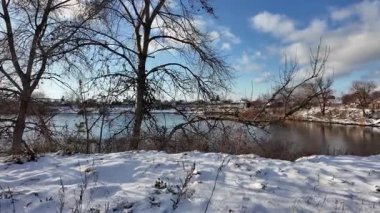Yavaş çekim videosu. Taze kar, uzun ağaç gölgeleri ve gövdeleri arasındaki altın ışık, berrak gökyüzünü, soğuk mevsim güzelliğini ve sakin doğayı gösteren huzurlu ormanlık alan..