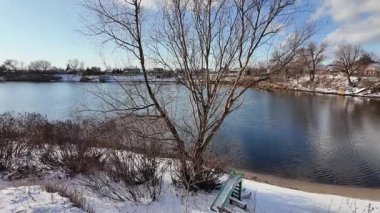 Yavaş çekim videosu. Taze kar, uzun ağaç gölgeleri ve gövdeleri arasındaki altın ışık, berrak gökyüzünü, soğuk mevsim güzelliğini ve sakin doğayı gösteren huzurlu ormanlık alan..