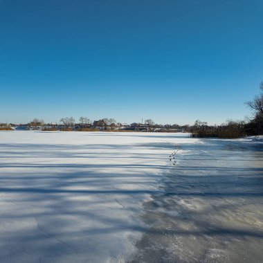 Parlak mavi gökyüzünün altında sakin bir kış donmuş gölü. Karla kaplı buz ayak izleri ve ağaç gölgeleri kıyıda altın kuru sazlıklar, çıplak ağaçlar ve soğuk güneş ışığı altında uzak ufuklar..