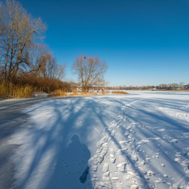 Parlak mavi gökyüzünün altında sakin bir kış donmuş gölü. Karla kaplı buz ayak izleri ve ağaç gölgeleri kıyıda altın kuru sazlıklar, çıplak ağaçlar ve soğuk güneş ışığı altında uzak ufuklar..