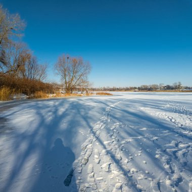 Parlak mavi gökyüzünün altında sakin bir kış donmuş gölü. Karla kaplı buz ayak izleri ve ağaç gölgeleri kıyıda altın kuru sazlıklar, çıplak ağaçlar ve soğuk güneş ışığı altında uzak ufuklar..