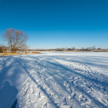 Parlak mavi gökyüzünün altında sakin bir kış donmuş gölü. Karla kaplı buz ayak izleri ve ağaç gölgeleri kıyıda altın kuru sazlıklar, çıplak ağaçlar ve soğuk güneş ışığı altında uzak ufuklar..