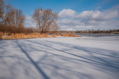 Parlak mavi gökyüzünün altında sakin bir kış donmuş gölü. Karla kaplı buz ayak izleri ve ağaç gölgeleri kıyıda altın kuru sazlıklar, çıplak ağaçlar ve soğuk güneş ışığı altında uzak ufuklar..