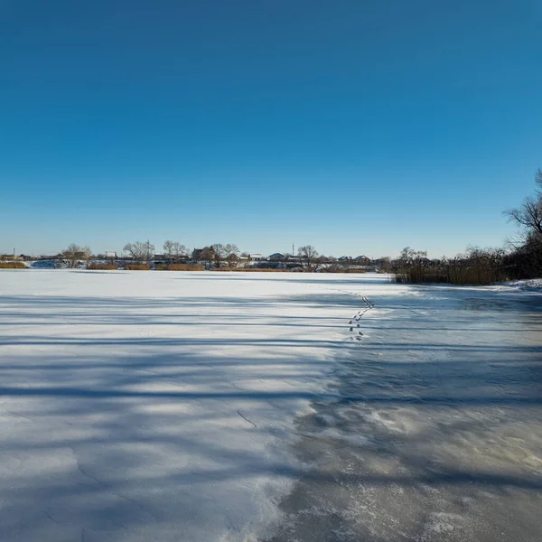 Parlak mavi gökyüzünün altında sakin bir kış donmuş gölü. Karla kaplı buz ayak izleri ve ağaç gölgeleri kıyıda altın kuru sazlıklar, çıplak ağaçlar ve soğuk güneş ışığı altında uzak ufuklar..