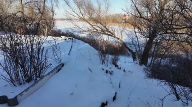 Parlak mavi gökyüzünün altında sakin bir kış donmuş gölü. Karla kaplı buz ayak izleri ve ağaç gölgeleri kıyıda altın kuru sazlıklar, çıplak ağaçlar ve soğuk güneş ışığı altında uzak ufuklar..