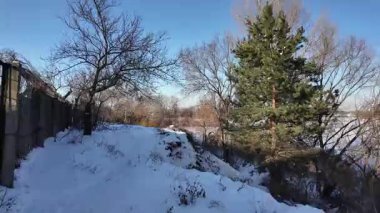 Parlak mavi gökyüzünün altında sakin bir kış donmuş gölü. Karla kaplı buz ayak izleri ve ağaç gölgeleri kıyıda altın kuru sazlıklar, çıplak ağaçlar ve soğuk güneş ışığı altında uzak ufuklar..