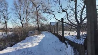 Parlak mavi gökyüzünün altında sakin bir kış donmuş gölü. Karla kaplı buz ayak izleri ve ağaç gölgeleri kıyıda altın kuru sazlıklar, çıplak ağaçlar ve soğuk güneş ışığı altında uzak ufuklar..