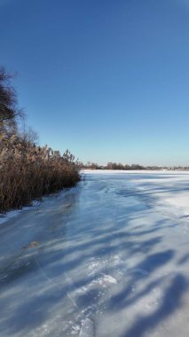 Uzun kuru sazlıklar ve hafif tozlu kar bulutları ile sakin kış manzarası, soluk bulutlu bir gökyüzü karşısında duran çıplak ağaçlar ve arka planda donmuş su. Sakin doğal sulak arazi manzarası.