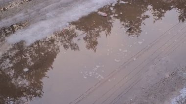 Eriyen kar, çamurlu bir yolda sığ çamur birikintileri oluşturur. Çamurlu kenarları, köpük bantları ve ince lastik izleri olan çıplak ağaçları yansıtır. Sükunet ilkbahar erime sahnesi.